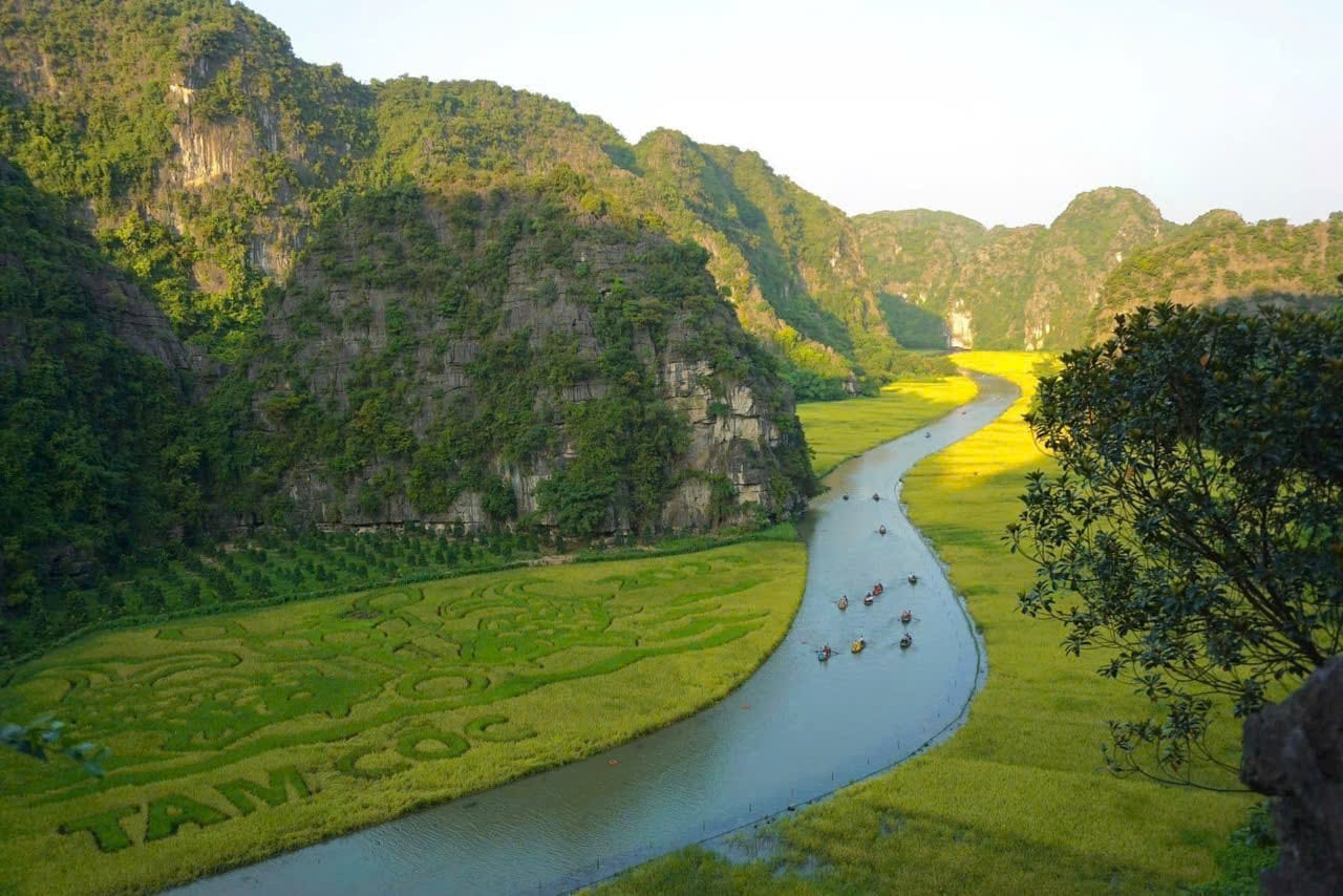 co-do-hoa-lu-ninh-binh