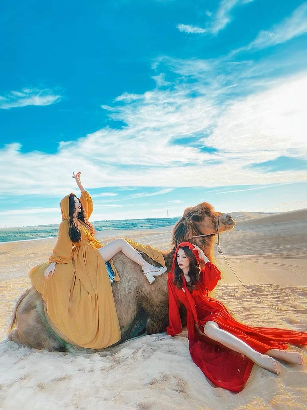 đồi cát trắng 1